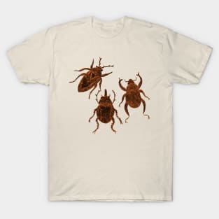 Insect lover T-Shirt